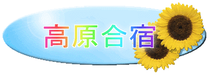 �������h���S