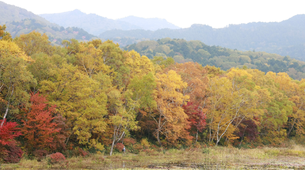 志賀高原の秋