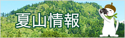 夏山情報