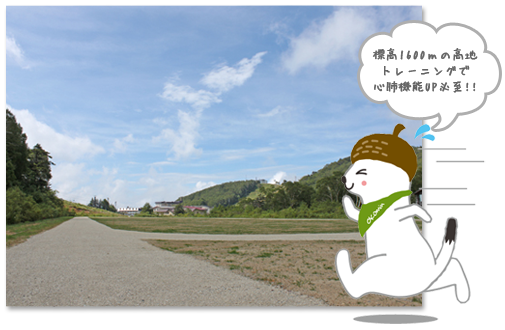 高地トレーニング