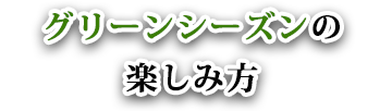 グリーンシーズン　志賀高原　夏